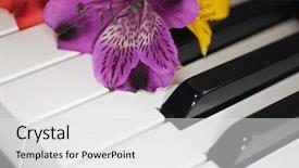  Presentation with piano - Slides with fowers - fower on piano background and a light gray colored foreground