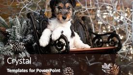  Presentation with fox - Slides enhanced with fox-terrier-puppy-and-winter background and a wine colored foreground