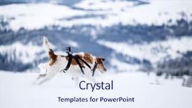  Presentation with audio pro - Audience pleasing presentation theme consisting of fox terrier with go pro backdrop and a sky blue colored foreground