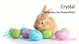  Presentation with rabbit - Amazing slides having foxy rabbit with easter egg backdrop and a cream colored foreground