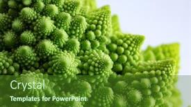  Presentation with cauliflower - Theme enhanced with fractals-romanesco-cauliflower-on-neutral background and a forest green colored foreground