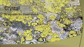  Presentation with alpine - Presentation consisting of fracture mountain - alpine rock texture closeup background background and a yellow colored foreground