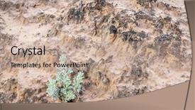  Presentation with sage plant - Cool new presentation theme with fragile desert cryptobiotic soil backdrop and a coral colored foreground