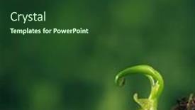  Presentation with sprouting plant - Slides consisting of fragile-new-life background and a tawny brown colored foreground