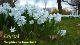  Presentation with flower - Colorful slide deck enhanced with center of helsingborg sweden close backdrop and a tawny brown colored foreground