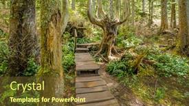  Presentation with olympics - Slide set with fragment of cape trail in olympics park washington usa background and a tawny brown colored foreground