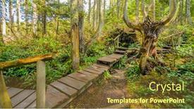  Presentation with olympics - Presentation theme featuring fragment of cape trail in olympics park washington usa background and a tawny brown colored foreground