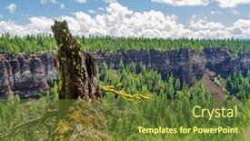  Presentation with british columbia - Presentation enhanced with fragment-of-fantastic-view background and a tawny brown colored foreground