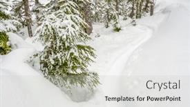  Presentation with vancouver - Presentation theme having fragment-of-mountain-snowshoe-trail background and a light gray colored foreground