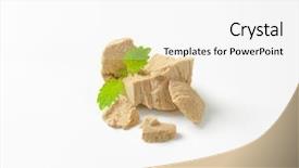  Presentation with bacteria yeast - Slides having fragmented compressed fresh yeast background and a  colored foreground