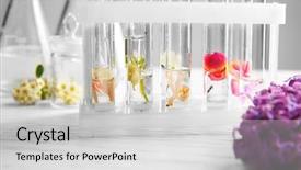  Presentation with fragrance - Beautiful PPT theme featuring fragrance - process of making perfumes backdrop and a light gray colored foreground