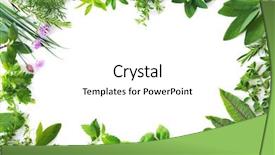 Presentation with herbs - Presentation design featuring frame - various kinds of fresh garden background and a white colored foreground
