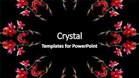  Presentation with orchid - Presentation theme enhanced with frame card of orchid cambria burrageara isolated on black background background and a black colored foreground