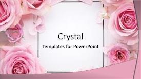  Presentation with frame pink - Colorful presentation enhanced with frame cosmetic - pink rose with paper card backdrop and a pink colored foreground