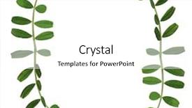  Presentation with frame - Cool new presentation theme with frame from green pea tendrils backdrop and a  colored foreground