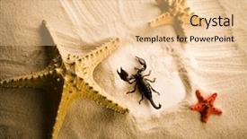  Presentation with holidays - Colorful presentation theme enhanced with frame-from-holidays-scorpion backdrop and a lemonade colored foreground