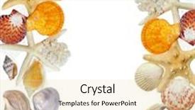  Presentation with sea shells - Beautiful PPT theme featuring frame from sea shells backdrop and a lemonade colored foreground