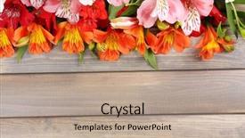  Presentation with rustic wood and flowers - Audience pleasing PPT theme consisting of frame green - beautiful alstroemeria flowers on wooden backdrop and a mint green colored foreground