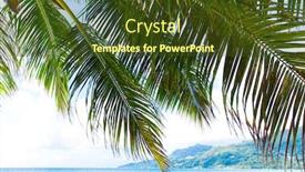  Presentation with jungle - Colorful PPT theme enhanced with frame jungle overhanging backdrop and a tawny brown colored foreground