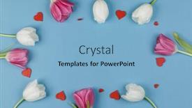  Presentation with tulips - Presentation theme featuring frame-made-of-colourful-tulips background and a light blue colored foreground