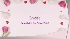  Presentation with tulips - PPT theme consisting of frame-made-of-colourful-tulips background and a sky blue colored foreground