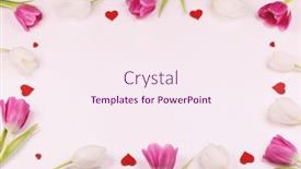  Presentation with valentines day - Cool new slides with frame-made-of-colourful-tulips backdrop and a sky blue colored foreground