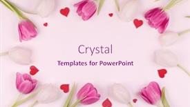  Presentation with valentines day - Beautiful theme featuring frame-made-of-colourful-tulips backdrop and a pink colored foreground