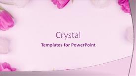  Presentation with valentines day - PPT theme consisting of frame-made-of-colourful-tulips background and a pink colored foreground