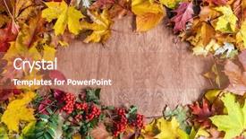  Presentation with fall leaves - Amazing slides having frame made of fall leaves backdrop and a coral colored foreground