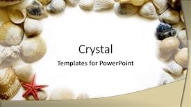  Presentation with space stars - Cool new presentation design with frame made of seashells and stars - copy space backdrop and a white colored foreground