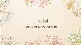  Presentation with breath - Presentation theme enhanced with frame-made-of-small-gypsophila background and a cream colored foreground