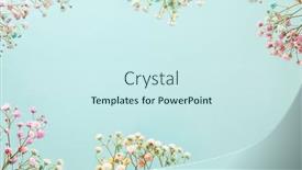  Presentation with breath - Amazing presentation having frame-made-of-small-gypsophila backdrop and a cool aqua colored foreground
