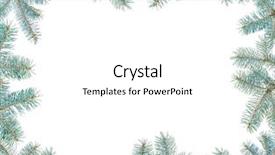  Presentation with spruce - Presentation theme having frame made with blue spruce background and a white colored foreground