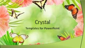  Presentation with blurred flowers - Beautiful presentation design featuring frame of beautiful flowers butterflies and palm leaves with space for text on blurred background backdrop and a yellow colored foreground