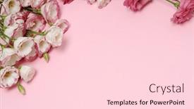  Presentation with frame pink - PPT layouts enhanced with frame-of-beautiful-flowers background and a lemonade colored foreground