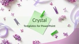  Presentation with purple flowers - Presentation consisting of frame of beautiful purple lilac background and a soft green colored foreground