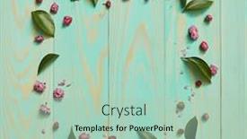  Presentation with frame - Amazing PPT layouts having frame of flowers and leaves backdrop and a mint green colored foreground