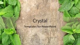  Presentation with mint - Slide set featuring frame of fresh mint background and a coral colored foreground