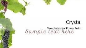  Presentation with vine - Presentation featuring frame of grape branches background and a white colored foreground