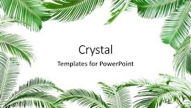  Presentation with palm leaves - PPT layouts with frame of green palm leaves isolated on white background and a white colored foreground