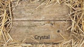  Presentation with rustic - Cool new presentation design with frame of hay on rustic backdrop and a coral colored foreground
