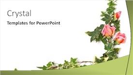  Presentation with frame pink - Colorful slide set enhanced with frame-of-ivy-twigs backdrop and a white colored foreground