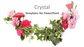  Presentation with frame pink - Cool new slide deck with frame-of-ivy-twigs backdrop and a white colored foreground