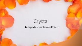  Presentation with love frame - Audience pleasing PPT theme consisting of frame-of-multiple-orange-rose backdrop and a white colored foreground