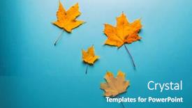  Presentation with autumn blue - Presentation consisting of frame of orange leaves space for text autumn composition on blue background top view flat lay copy space background and a teal colored foreground