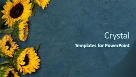  Presentation with sunflowers - Beautiful PPT theme featuring frame-of-sunflowers-on-blue backdrop and a ocean colored foreground
