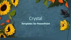  Presentation with sunflowers - Audience pleasing slides consisting of frame-of-sunflowers-on-blue backdrop and a ocean colored foreground