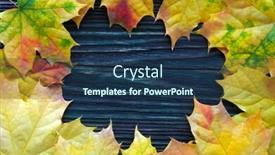  Presentation with maple leaves - Audience pleasing slide set consisting of frame-of-yellow-autumn-maple backdrop and a ocean colored foreground