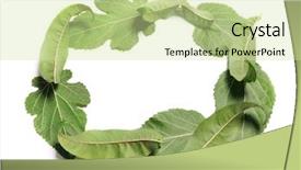  Presentation with bunch of green peas - PPT layouts with frame peach leaf and mulberry background and a soft green colored foreground
