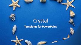  Presentation with dark blue - PPT layouts consisting of frame shaped seashells on dark background and a  colored foreground
